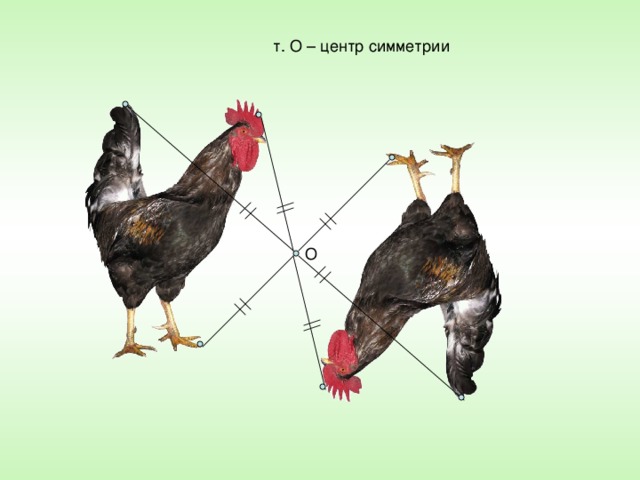 т. О – центр симметрии О