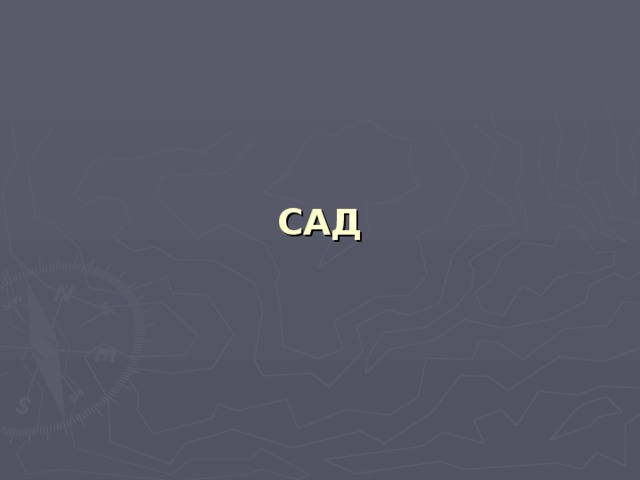 САД