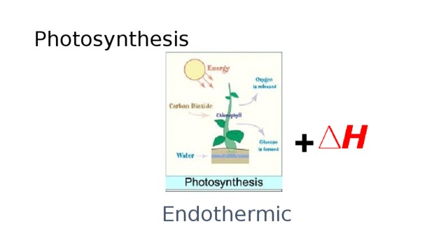 Photosynthesis + Endothermic