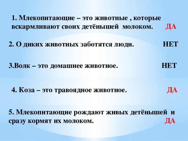 1. Млекопитающие – это животные , которые вскармливают своих детёнышей молоком. ДА 2. О диких животных заботятся люди. НЕТ 3.Волк – это домашнее животное. НЕТ 4. Коза – это травоядное животное. ДА 5. Млекопитающие рождают живых детёнышей и сразу кормят их молоком. ДА