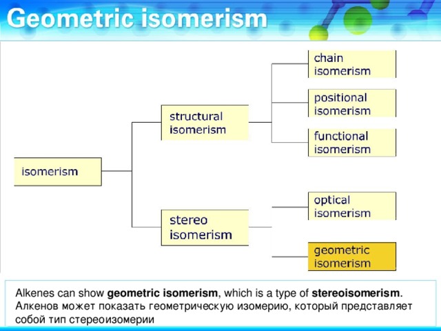 Alkenes can show geometric isomerism , which is a type of stereoisomerism . Алкенов может показать геометрическую изомерию, который представляет собой тип стереоизомерии
