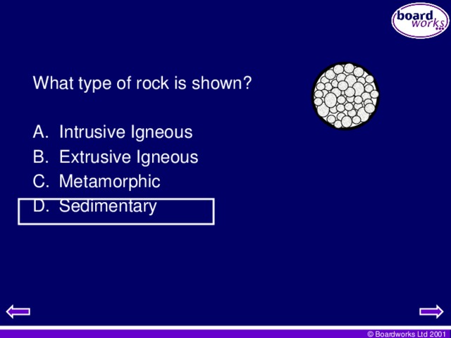 What type of rock is shown?