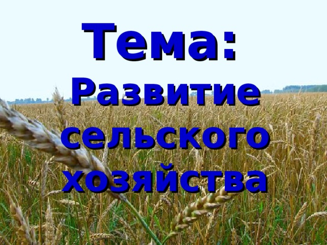 Тема:   Развитие сельского хозяйства