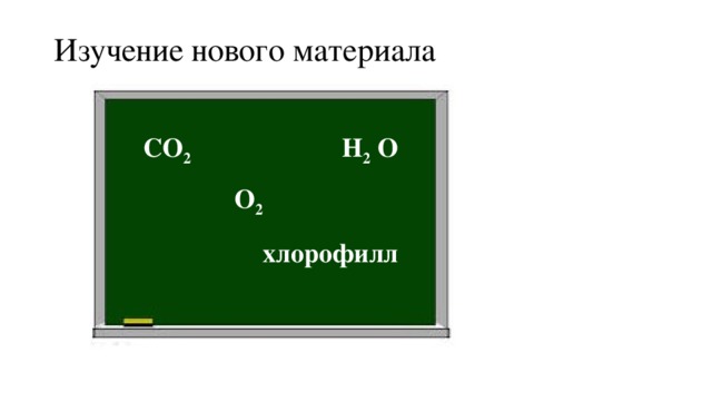 Изучение нового материала CO 2   H 2 O  O 2   хлорофилл