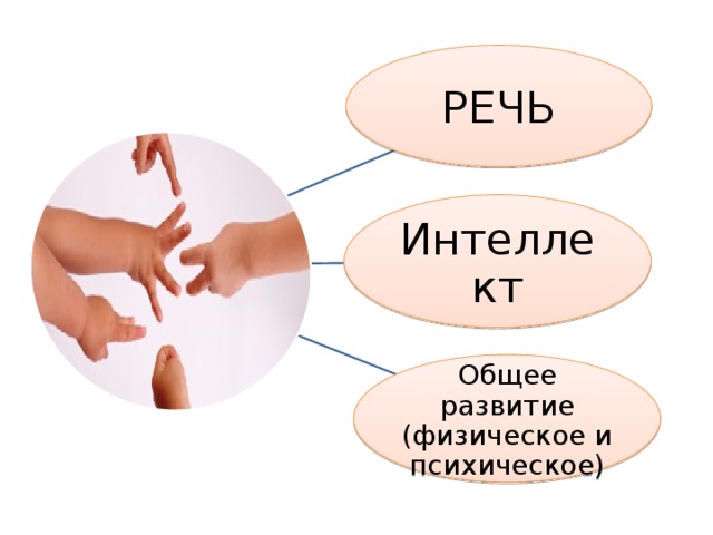 РЕЧЬ Интеллект Общее развитие (физическое и психическое)