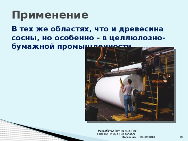 Применение В тех же областях, что и древесина сосны, но особенно - в целлюлозно-бумажной промышленности. 28.09.2010 Разработал Трунов А.И. ГОУ НПО ЯО ПУ-37 г.Переславль-Залесский