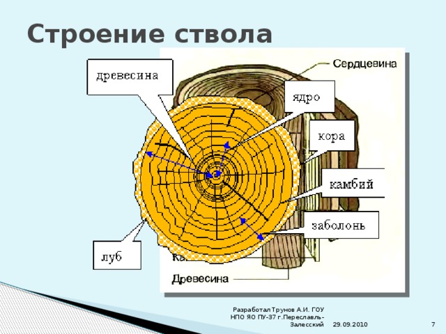 Сердцевина функции