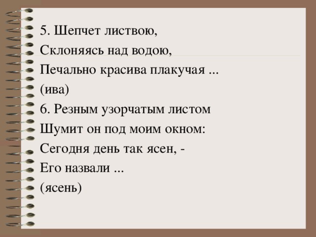 5. Шепчет листвою, Склоняясь над водою, Печально красива плакучая ... (ива) 6. Резным узорчатым листом Шумит он под моим окном: Сегодня день так ясен, - Его назвали ... (ясень)