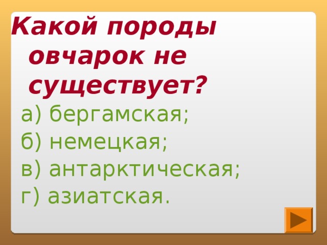 Какой породы овчарок не существует?  а) бергамская;  б) немецкая;  в) антарктическая;  г) азиатская.