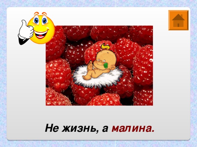 Не жизнь, а малина.