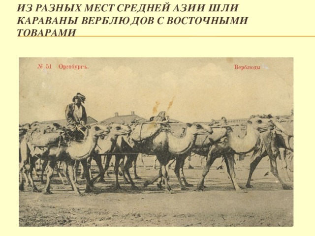 Из разных мест Средней Азии шли караваны верблюдов с восточными товарами
