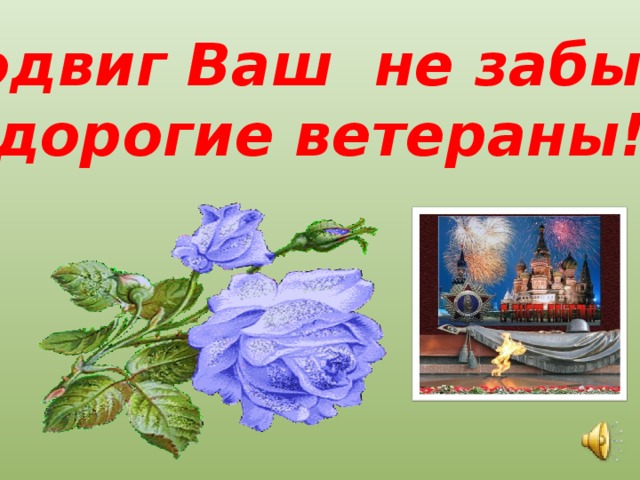 Подвиг Ваш не забыт, дорогие ветераны!