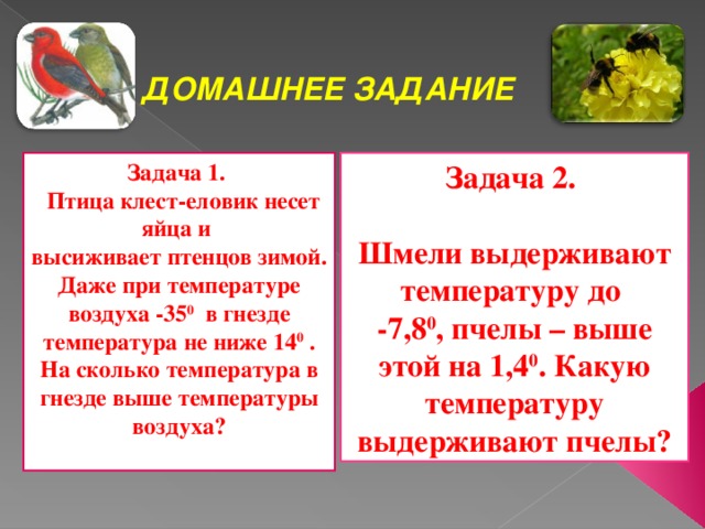 ДОМАШНЕЕ ЗАДАНИЕ Задача 1.  Задача 2.  Птица клест-еловик несет яйца и высиживает птенцов зимой. Даже при температуре воздуха -35 0 в гнезде температура не ниже 14 0 . На сколько температура в гнезде выше температуры воздуха?  Шмели выдерживают температуру до -7,8 0 , пчелы – выше этой на 1,4 0 . Какую температуру выдерживают пчелы?