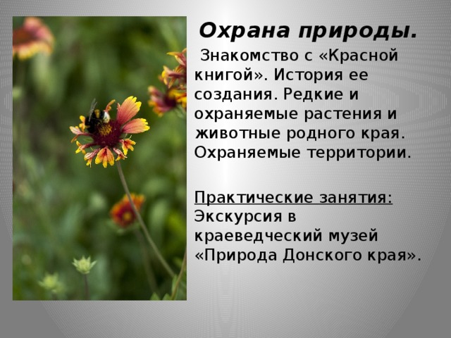 Охрана природы.