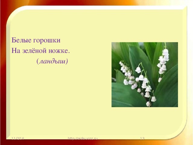 Составить загадку о ландыше. Белые горошки на зеленой ножке. Весенние загадки.