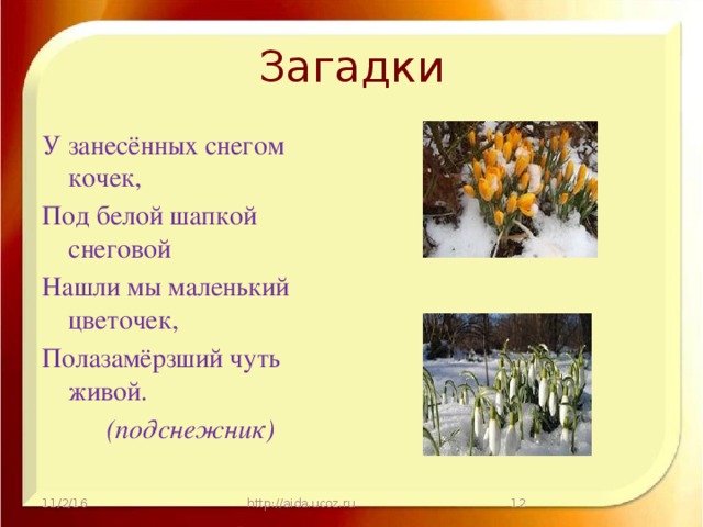 Загадки У занесённых снегом кочек, Под белой шапкой снеговой Нашли мы маленький цветочек, Полазамёрзший чуть живой. (подснежник) 11/2/16 http://aida.ucoz.ru