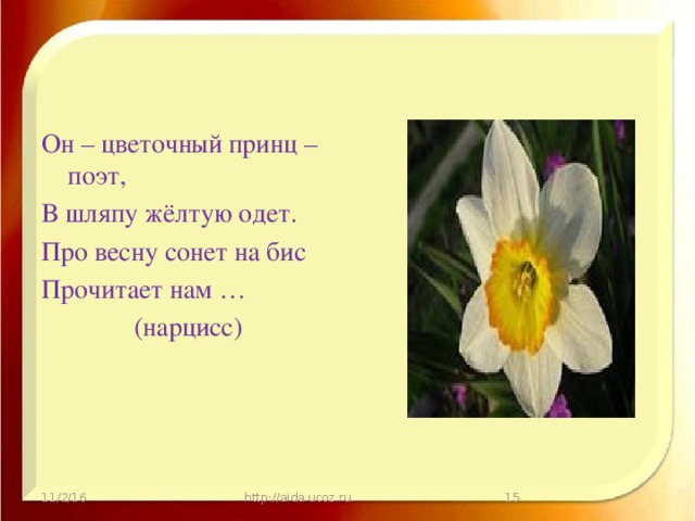 Он – цветочный принц – поэт, В шляпу жёлтую одет. Про весну сонет на бис Прочитает нам … (нарцисс) 11/2/16 http://aida.ucoz.ru