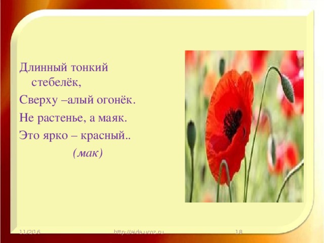 Длинный тонкий стебелёк, Сверху –алый огонёк. Не растенье, а маяк. Это ярко – красный.. (мак) 11/2/16 http://aida.ucoz.ru