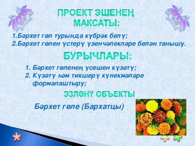 1.Бәрхет гөл турында күбрәк белү; 2. Бәрхет гөлен үстерү үзенчәлекләре белән танышу.  Бәрхет гөленең үсешен күзәтү; Күзәтү һәм тикшерү күнекмәләре формалаштыру; Бәрхет гөле (Бархат цы )