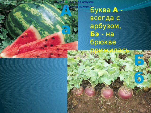 Буква А - всегда с арбузом, Буква А - всегда с арбузом, Бэ - на брюкве прижилась, Бэ - на брюкве прижилась, Аа Буква А - всегда с арбузом, Бэ - на брюкве прижилась Бб