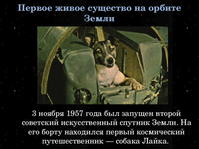 Первое живое существо на орбите Земли 3 ноября 1957 года был запущен второй советский искусственный спутник Земли. На его борту находился первый космический путешественник — собака Лайка.