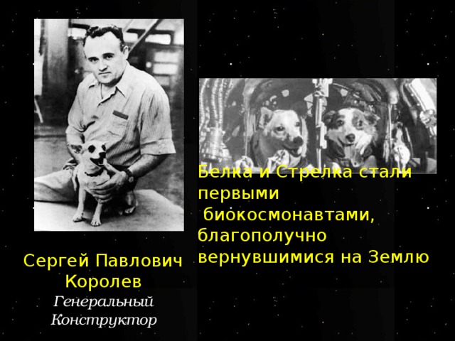 Белка и Стрелка стали первыми  биокосмонавтами, благополучно  вернувшимися на Землю Сергей Павлович Королев Генеральный Конструктор