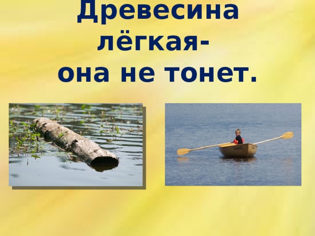 Загадка в воде не тонет. Древесина легкая она не тонет. Дерево не тонет в воде. Тонет не тонет. Дерево тонет не тонет.