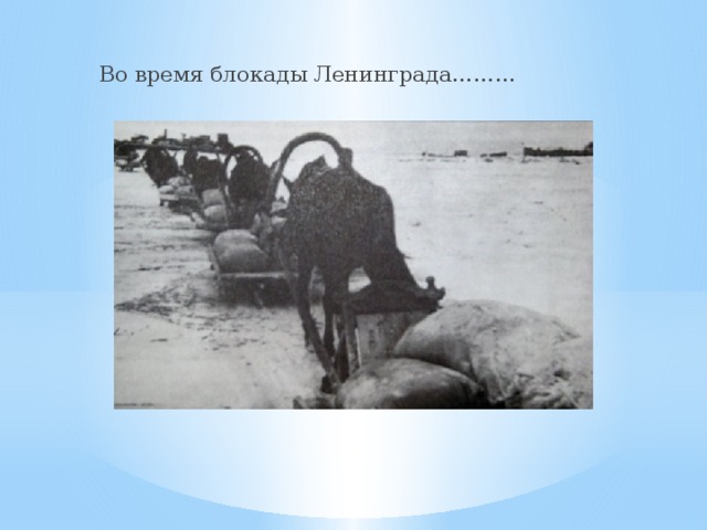 Во время блокады Ленинграда………