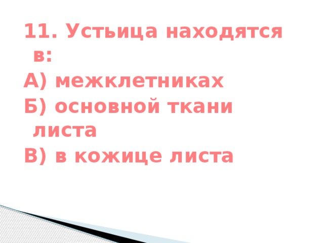 11. Устьица находятся в: А) межклетниках Б) основной ткани листа В) в кожице листа