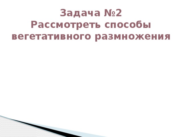 Задача №2  Рассмотреть способы вегетативного размножения