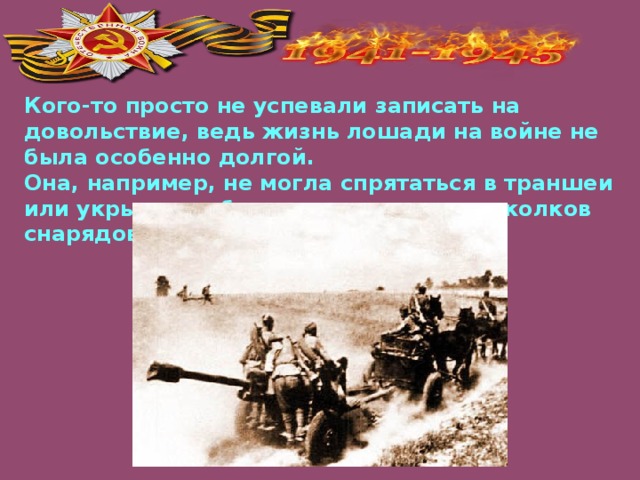 Кого-то просто не успевали записать на довольствие, ведь жизнь лошади на войне не была особенно долгой. Она, например, не могла спрятаться в траншеи или укрыться в блиндаже от пуль и осколков снарядов.