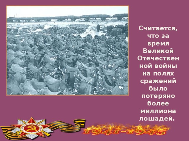 Считается, что за время Великой Отечественной войны на полях сражений было потеряно более миллиона лошадей.