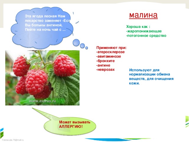 малина Эта ягода лесная Нам лекарство заменяет -Если Вы больны ангиной, Пейте на ночь чай с ... Хороша как : -жаропонижающее -потогонное средство Применяют при: -атеросклерозе -авитаминозе -бронхите -ангине -неврозах Используют для нормализации обмена веществ, для очищения кожи. Может вызывать АЛЛЕРГИЮ!