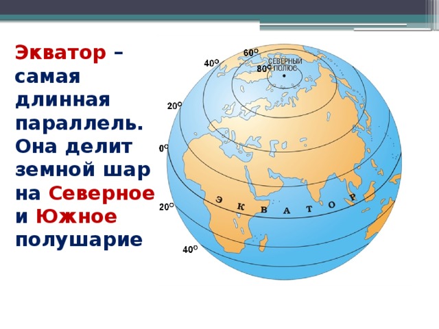 Экватор – самая длинная параллель. Она делит земной шар на Северное и Южное полушарие