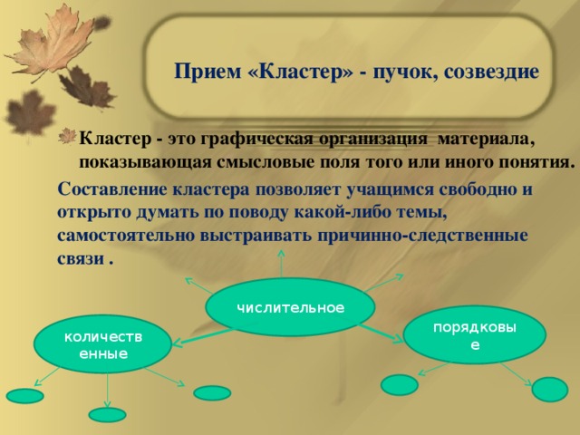 Прием «Кластер» - пучок, созвездие Кластер - это графическая организация материала, показывающая смысловые поля того или иного понятия. Составление кластера позволяет учащимся свободно и открыто думать по поводу какой-либо темы, самостоятельно выстраивать причинно-следственные связи . числительное порядковые количественные