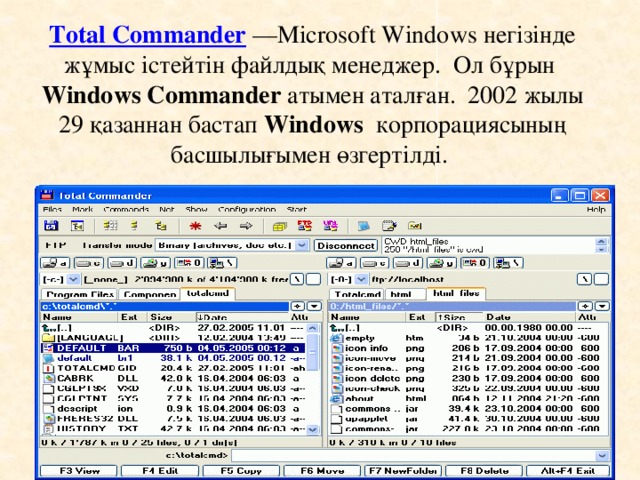 Total Commander  —Microsoft Windows негізінде жұмыс істейтін файлдық менеджер. Ол бұрын Windows Commander атымен аталған. 2002 жылы 29 қазаннан бастап Windows корпорациясының басшылығымен өзгертілді.