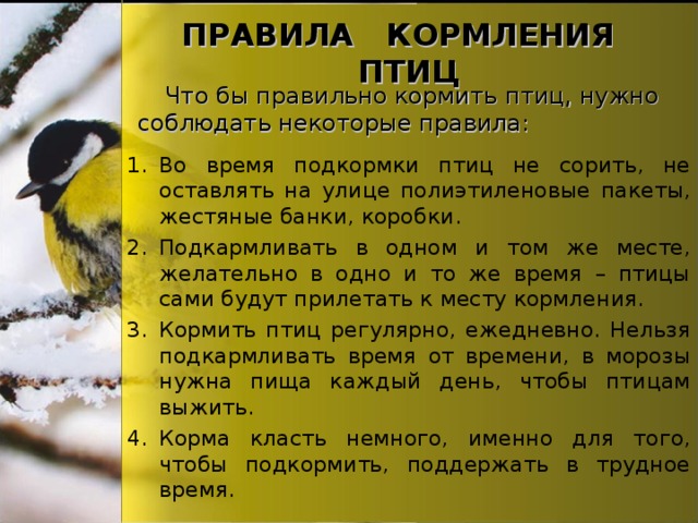 ПРАВИЛА КОРМЛЕНИЯ ПТИЦ Что бы правильно кормить птиц, нужно соблюдать некоторые правила: