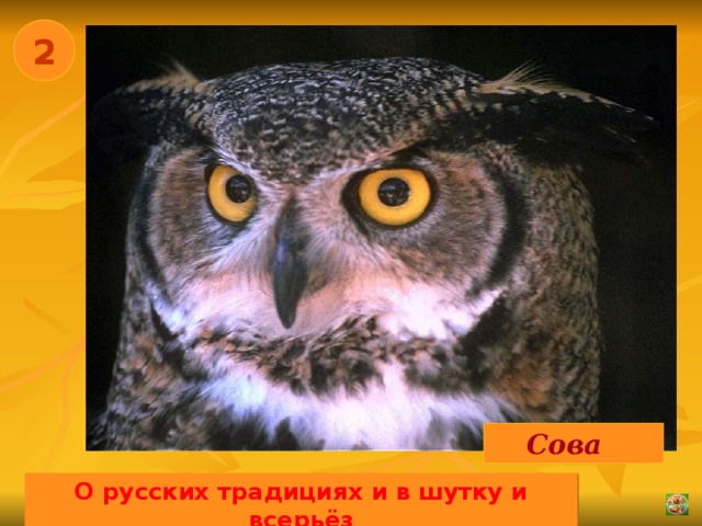 2 Сова О русских традициях и в шутку и всерьёз 02.11.16