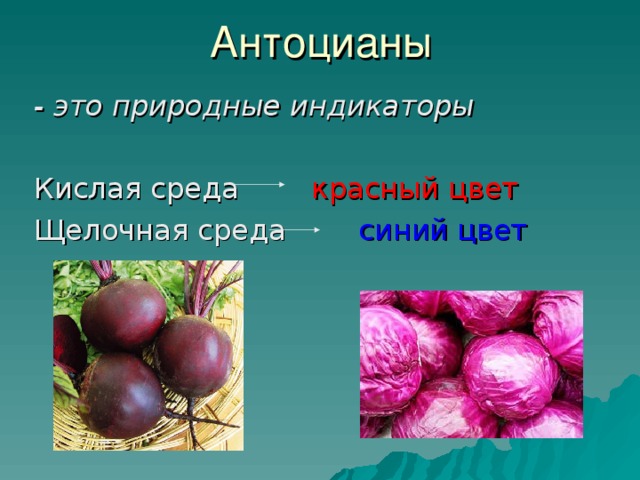 Антоцианы - это природные индикаторы Кислая среда красный цвет Щелочная среда синий цвет