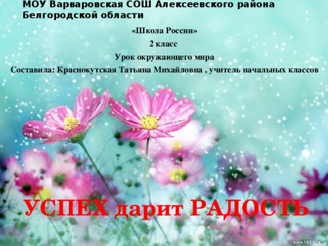 МОУ Варваровская СОШ Алексеевского района Белгородской области «Школа России» 2 класс Урок окружающего мира Составила: Краснокутская Татьяна Михайловна , учитель начальных классов УСПЕХ дарит РАДОСТЬ