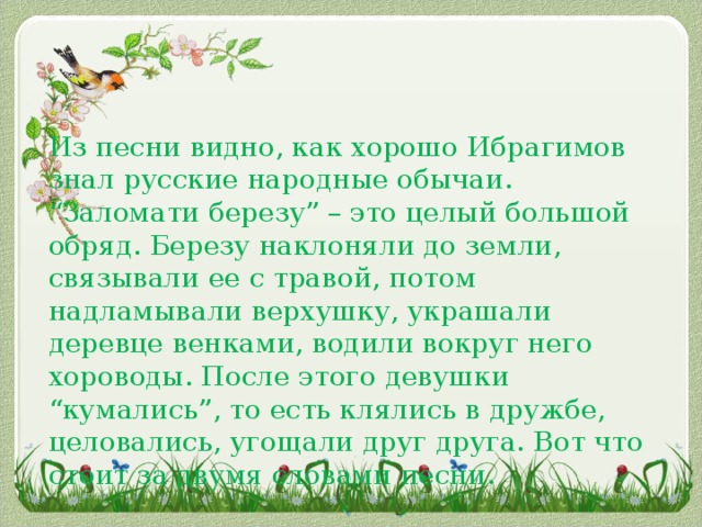 Из песни видно, как хорошо Ибрагимов знал русские народные обычаи. “Заломати березу” – это целый большой обряд. Березу наклоняли до земли, связывали ее с травой, потом надламывали верхушку, украшали деревце венками, водили вокруг него хороводы. После этого девушки “кумались”, то есть клялись в дружбе, целовались, угощали друг друга. Вот что стоит за двумя словами песни.