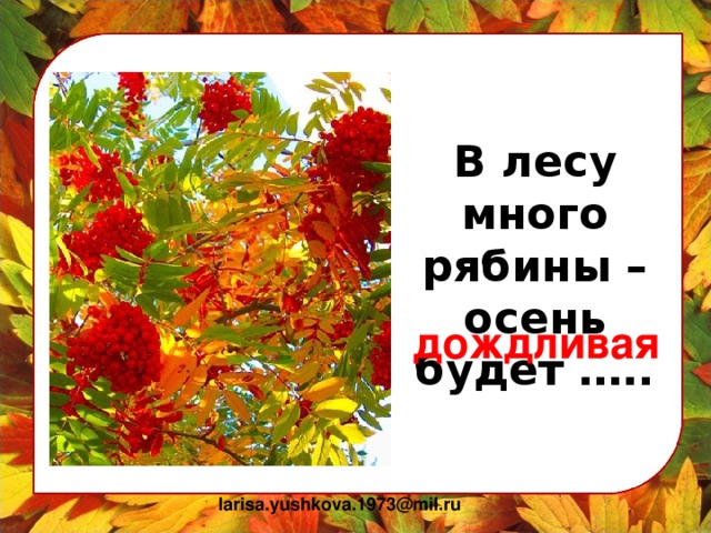 В лесу много рябины – осень будет ….. дождливая larisa.yushkova.1973@mil.ru
