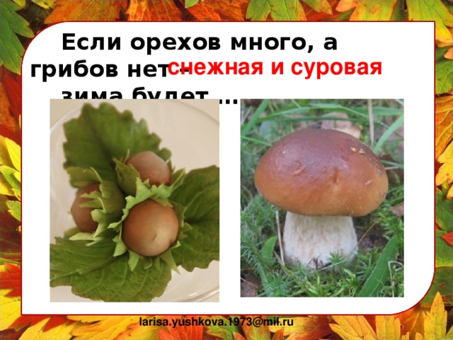 Если орехов много, а грибов нет –  зима будет ….. снежная и суровая larisa.yushkova.1973@mil.ru