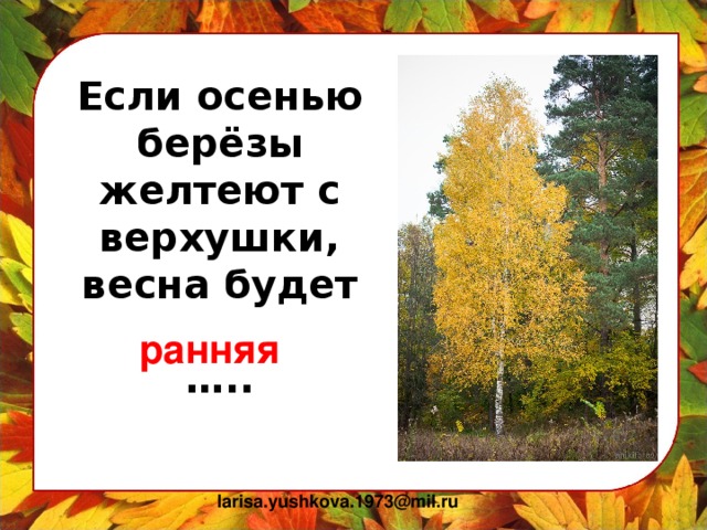 Если осенью берёзы желтеют с верхушки, весна будет   ….. ранняя larisa.yushkova.1973@mil.ru