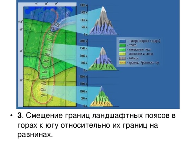 3 . Смещение границ ландшафтных поясов в горах к югу относительно их границ на равнинах.