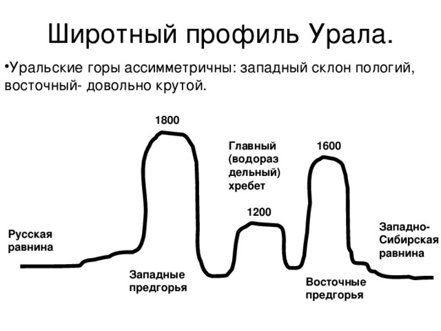 Широтный профиль Урала. Уральские горы ассимметричны: западный склон пологий, восточный- довольно крутой. 1800 Главный (водораздельный) хребет 1600 1200 Западно- Сибирская равнина Русская равнина Западные предгорья Восточные предгорья