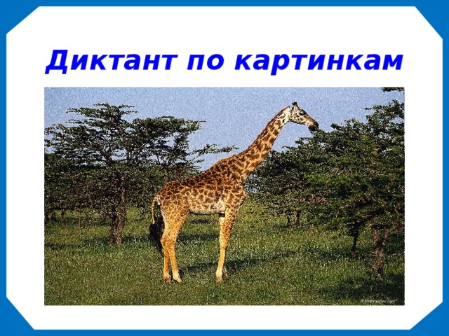 Диктант по картинкам