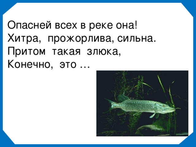 Опасней всех в реке она! Хитра, прожорлива, сильна. Притом такая злюка, Конечно, это …