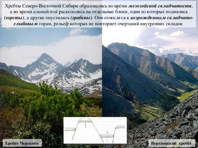 Хребты Северо-Восточной Сибири образовались во время мезозойской складчатости , а во время альпийской раскололись на отдельные блоки, одни из которых поднялись (горсты) ,  а другие опустились (грабены) .  Они относятся к возрожденным складчато-глыбовым  горам, рельеф которых не повторяет очертаний внутренних складок Хребет Черского Верхоянский хребет