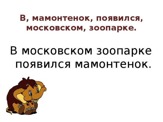 В, мамонтенок, появился, московском, зоопарке.   В московском зоопарке появился мамонтенок.